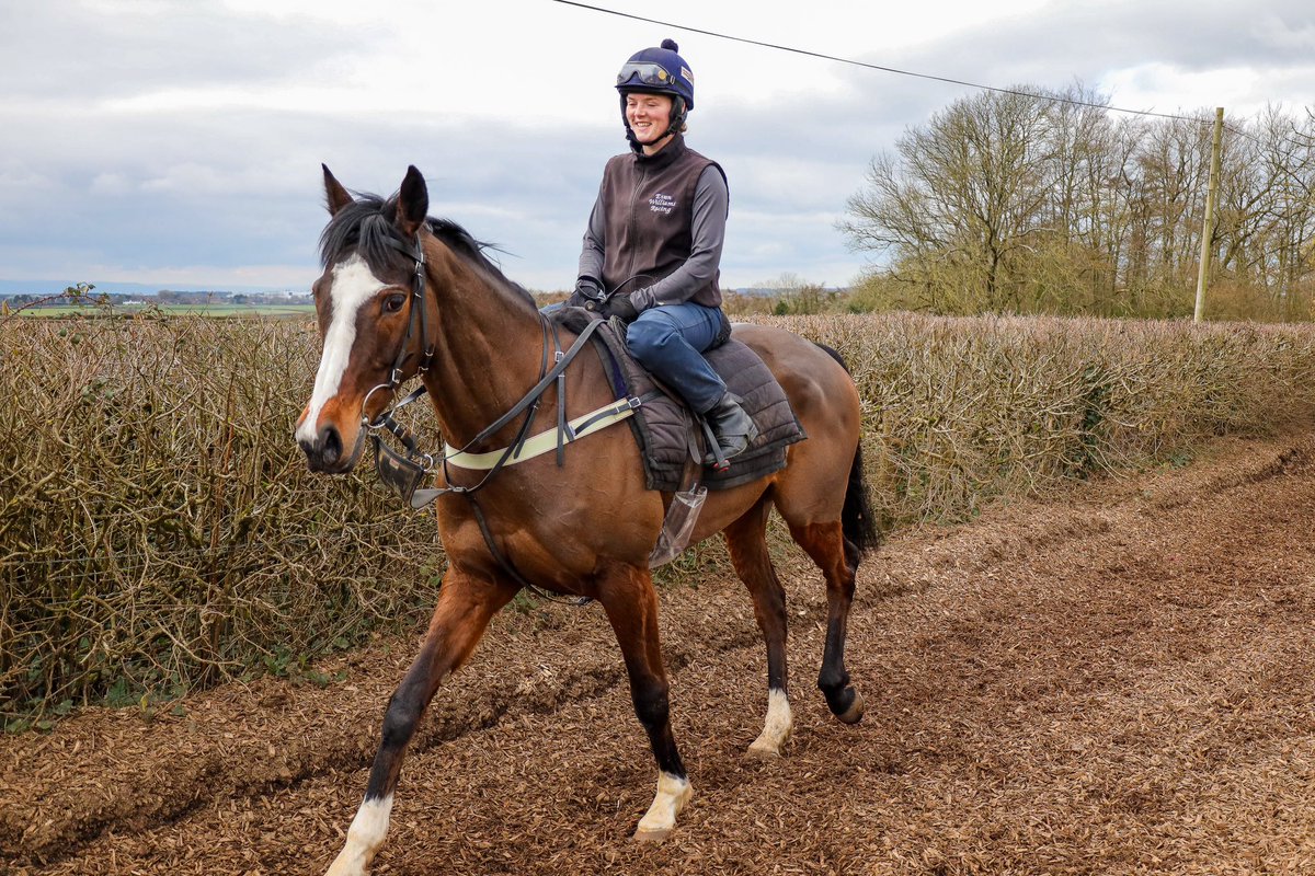 🅡🅤🅝🅝🅔🅡 - Puddlesinthepark lines up for the 3m1½f Handicap Chase at @plumptonraces today at 16:22. We have conditional jockey @conorring12 claiming 3lb for the @EWilliamsRacing team. Best of luck to his owners! 🐎 #OpulenceThoroughbreds