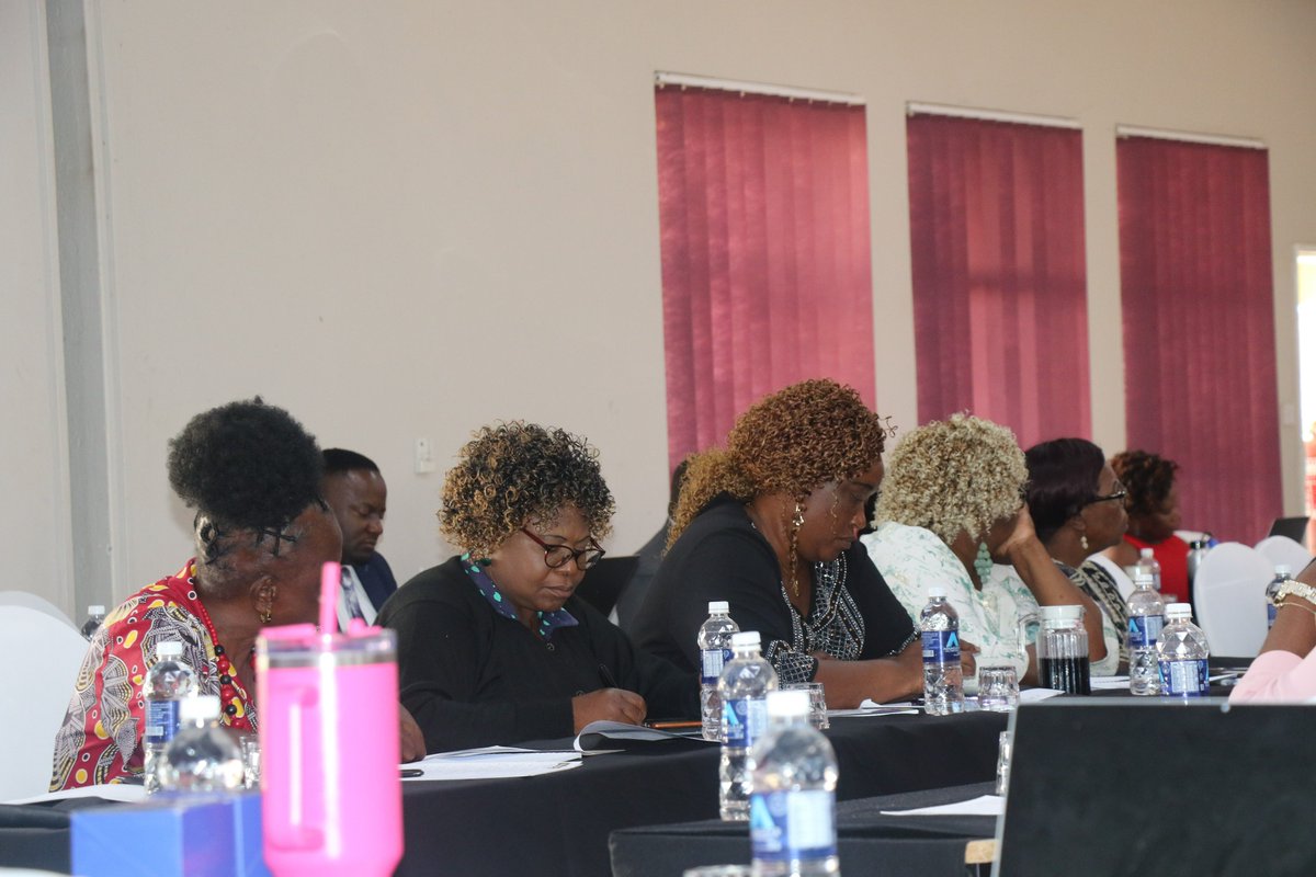 With women parliamentary representation at 31%, this #WomensHistoryMonth , we call for the promotion of women in political participation and for an increase in the number of women in political decision making. 'Invest in women:Accelerate progress'. @IrlEmbPretoria @ParliamentZim