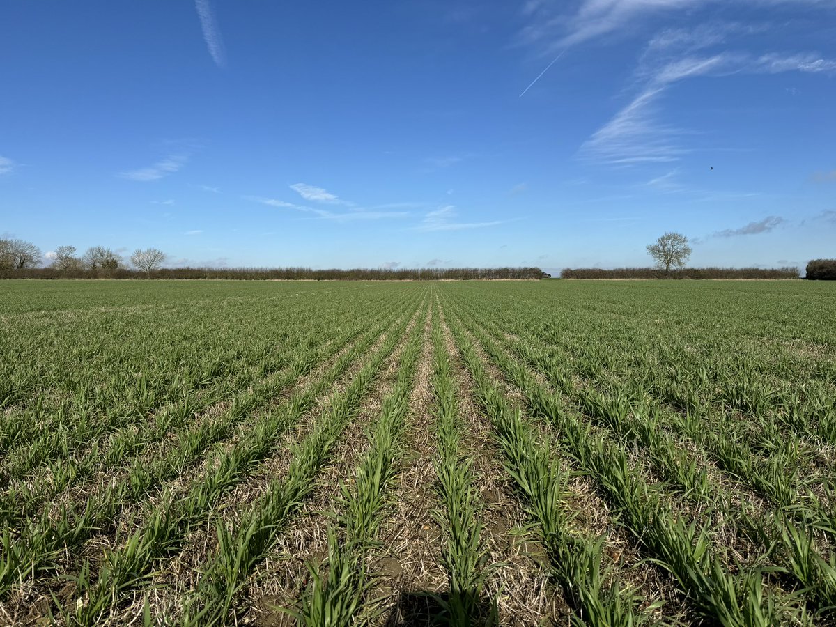 Ed Schofield tweet media