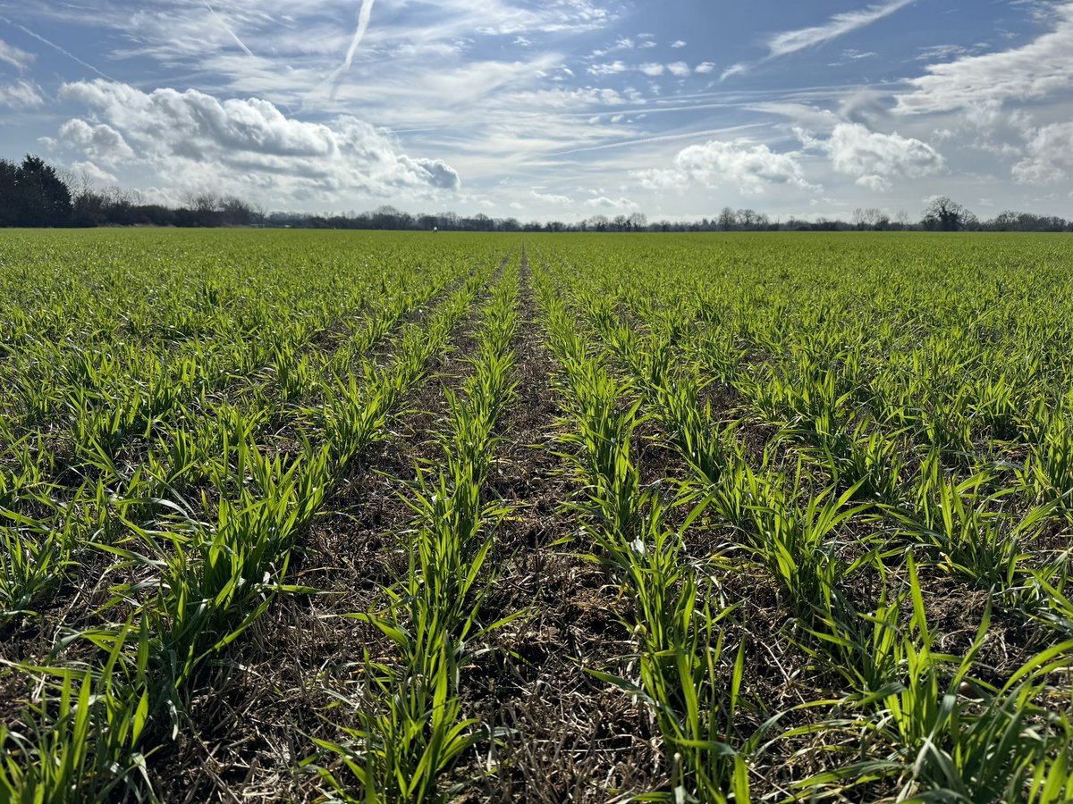 Ed Schofield tweet media