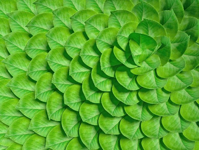 IBM: Supply Chain Data is Sustainability 'Blockage' bit.ly/3T4Wuoq