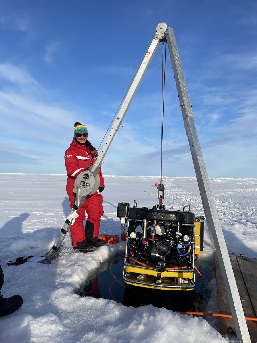 Do you want to join our @AWI_Media ROV engineer team? We are recuiting an engineer for under-ice robotics and sea ice physics. Deadline 27 March. More details here: jobs.awi.de/Vacancies/1591…