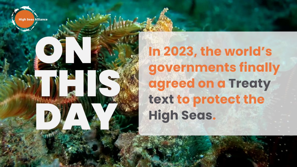 🎉Today we celebrate 1️⃣ year from the agreement of the #HighSeasTreaty!

Since then, 8️⃣ 7️⃣ countries signed and 2️⃣ 🇵🇼🇨🇱 ratified the Treaty, leading the #RaceForRatification.

📢 World leaders, protect the global ocean by ratifying the #HighSeasTreaty now.
wp.me/pf6kur-WJ
