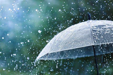 #InHaiku #VentagliDiParole 

Pioggia di primavera:
gocciola dal vespaio
l’acqua della gronda.
Matsuo