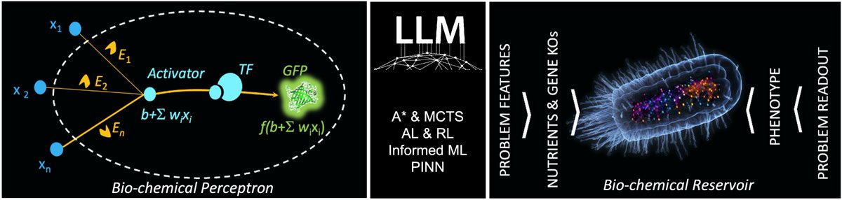 Below the announcement of a workshop ‘AI Methods and Models for (Bio)Catalysis and Synthetic Biology’ June 5, 2024, at the University of Montpellier, France. Registration is free but mandatory at forms.gle/RiNwcW7Hukb8h9…