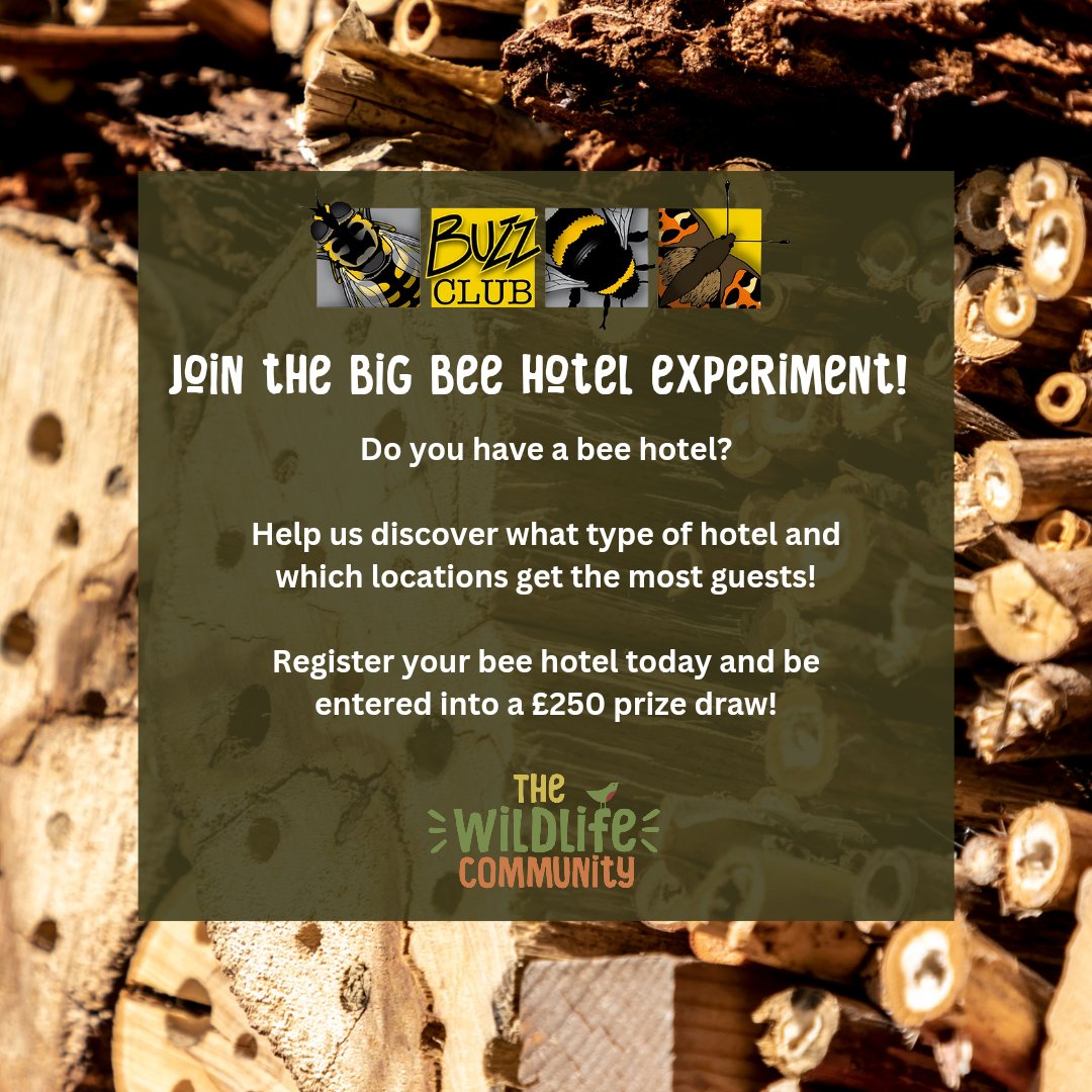 We have teamed up with @wildcommunityuk  to bring you #TheBigBeeHotelExperiment🐝

Register your bee hotel with us now! Help us find out what the optimal design for a bee hotel & be entered into a £250 prize draw!

Follow this link to find out more: thebuzzclub.uk/thebigbeehotel…