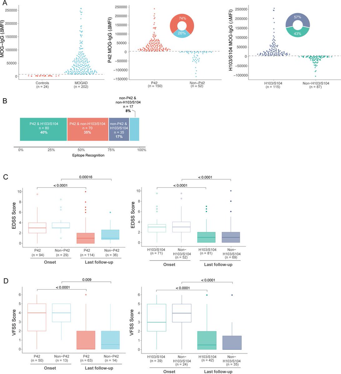 Interesting findings on MOGAD. This paper shows non-P42 MOG-IgG as the first diagnostic predictor of a relapsing course. Read more here 👇 🔎 bit.ly/4bVPkvF @Ganesha_Li @darshi_r @Benjamin_Trewin @RussellCDale @marignierro @MasturaMonif @anneke_vdw et al