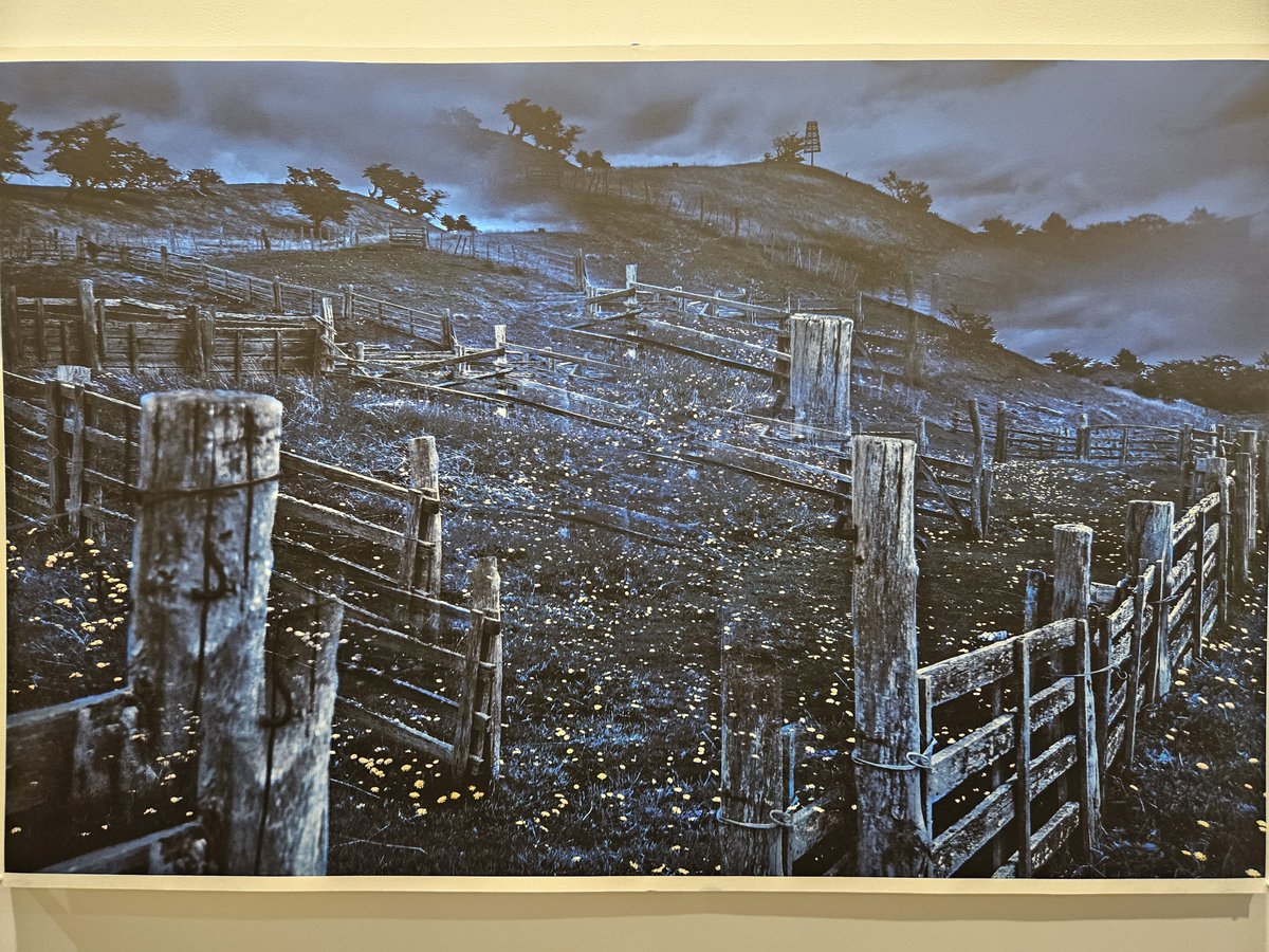 Art Dubai <a href="/artdubai/">Art Dubai</a> の感想

1. デジタルアートの盛り上がり