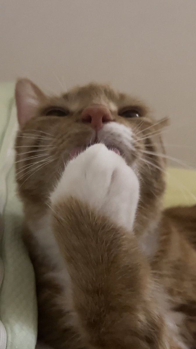 츄베릅                            냠냠ㄴ냠