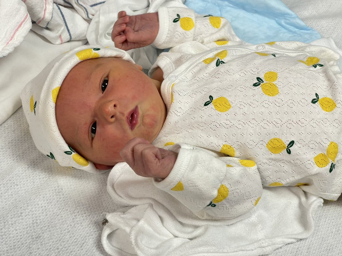 lucid_coder's tweet image. Had a baby lmao