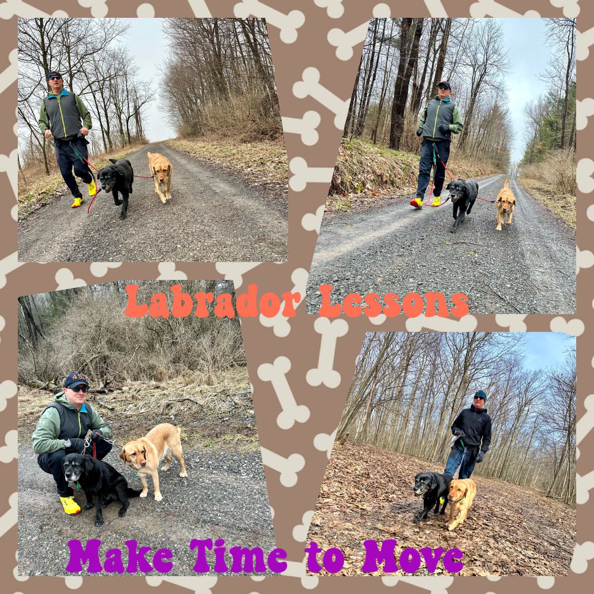 #LabradorLesson from #FitLabPGH (link below): Don’t let “life” get in the way of movement. When life gets busy, make time to move!

#WiseWords #SmartDogs #Labs #MoveMore #MakeTimeForYou 

tinyurl.com/FLP-BusyLabs