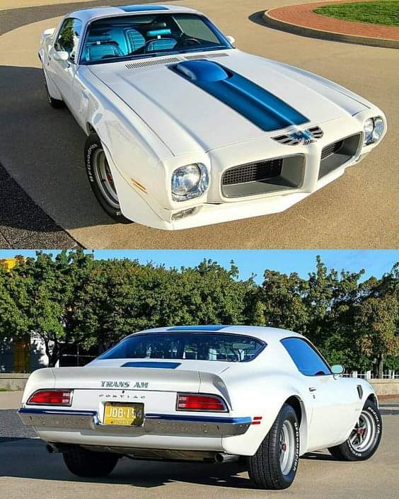 Gorgeous TransAm. Yes or no?? What would you change on it if you owned it?