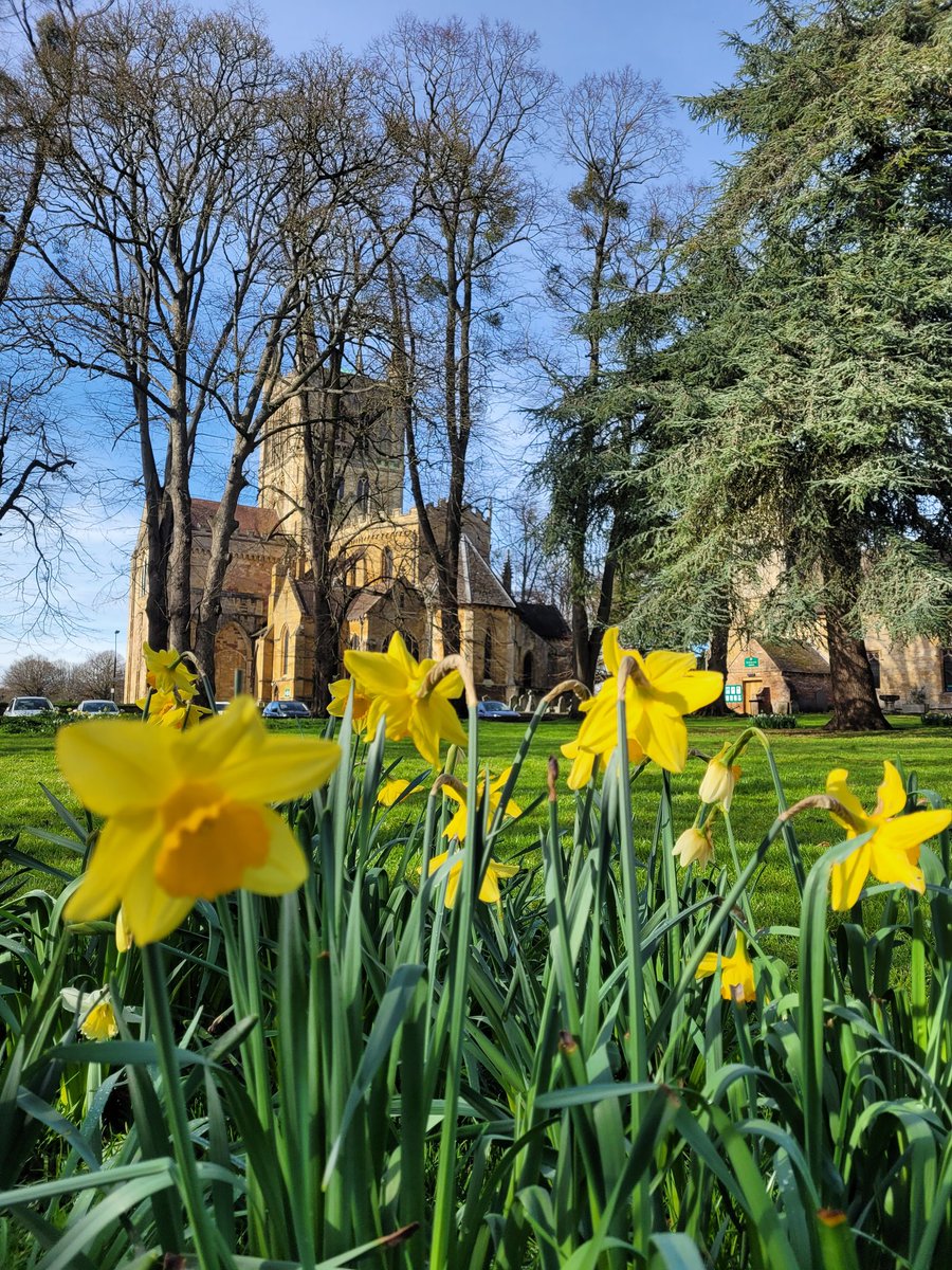 Carole Brooks 💙 tweet media