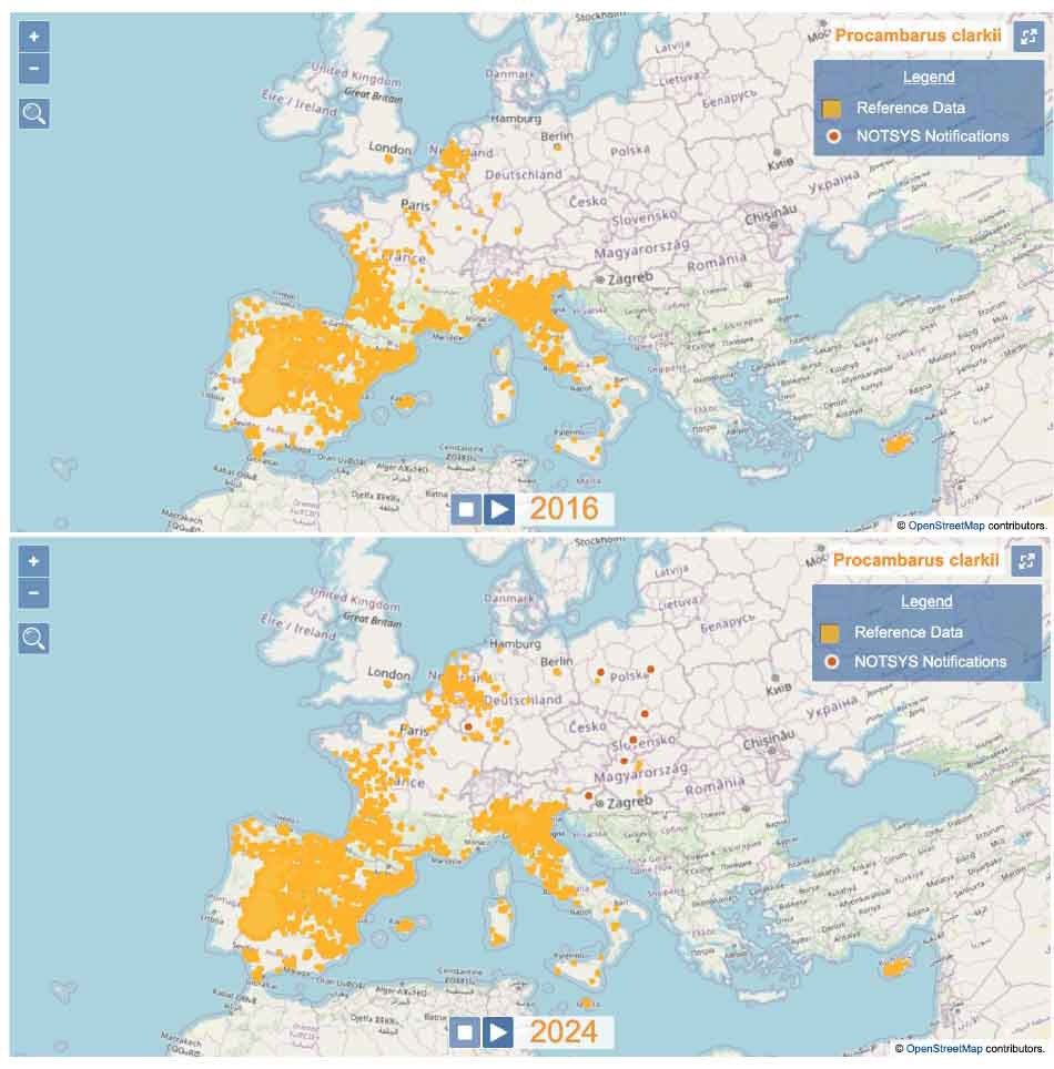 EASIN is glad to announce that a new tool has been released🥳! Do you want to know how the distribution of #InvasiveAlienSpecies of Union Concern has changed over time? Try the new #DynamicMaps 🌍(europa.eu/!pB3xFv). More information available at 👉🏻 europa.eu/!m8MxK8