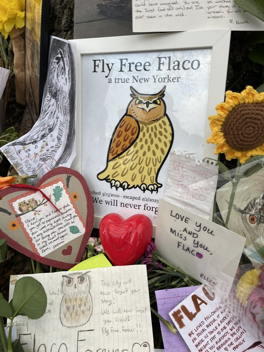 Thank you so much to the organizers of the beautiful #FlacotheOwl memorial yesterday