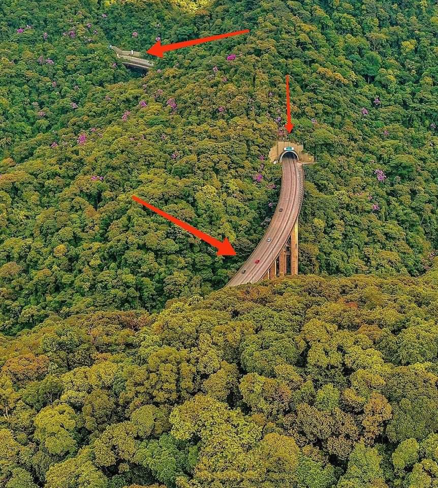 CivilEngDis's tweet image. Construction Bridge and Tunnel without destroying nature