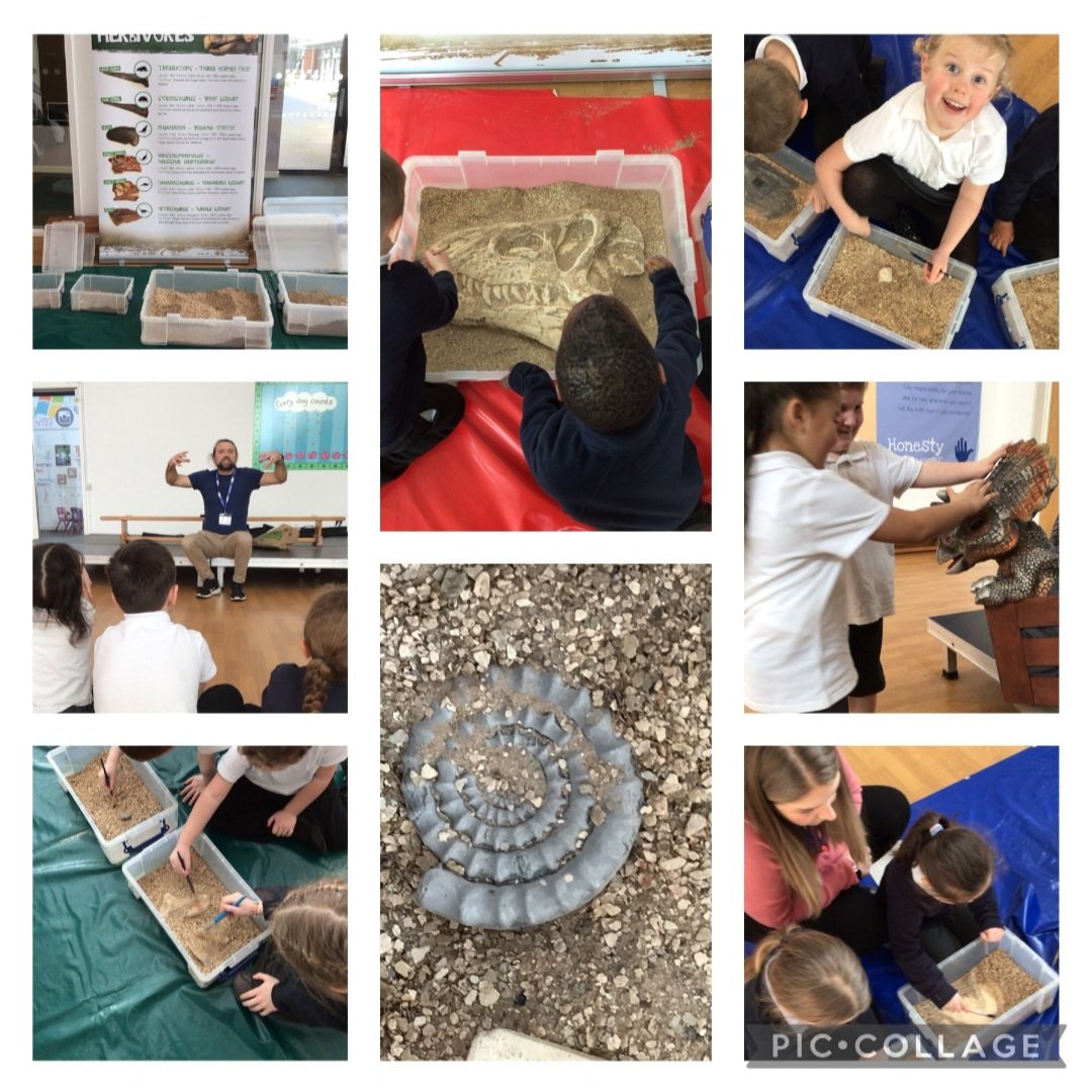 @ColeshillHeath @educationgroup Year 1 really have been digging into the past for their topic 'Extinction!'