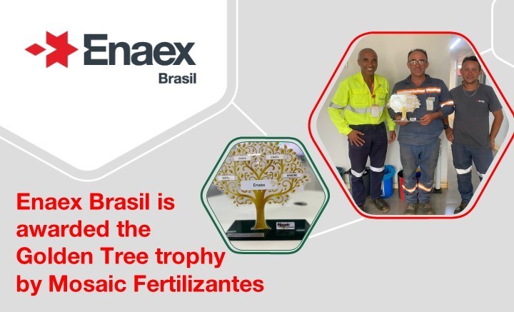 🏆 We have received the prestigious Golden Tree award from its client Mosaic Fertilizantes. The trophy makes us proud and is a milestone for Enaex Brasil.