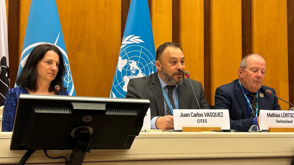 @ITUSecGen @ITU @usmissiongeneva @CITES @BLV_OSAV_USAV @IUCN @UNCTAD @asycuda_unctad @Orange_Csltg @GI_TOC @simonehaysom @WILDLABSNET @Connected_Cons @RainforestCx @FAO Thank you for joining the #GENeva celebration of #WorldWildlifeDay! We hope you were 'inspired by the potential of powerful new technologies to help accelerate #conservation work'. Documents, summary, and video to be available ▶️ tiny.cc/WWD24Geneva