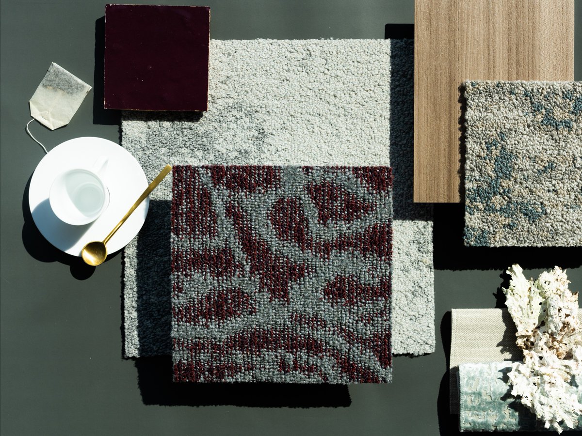 Discover the artistry of nature’s colors with Amplified Nature. Each hue in this collection is meticulously crafted to evoke the beauty and peacefulness of natural landscapes. Let this collection be your guide to creating environments that echo the rhythms of nature.