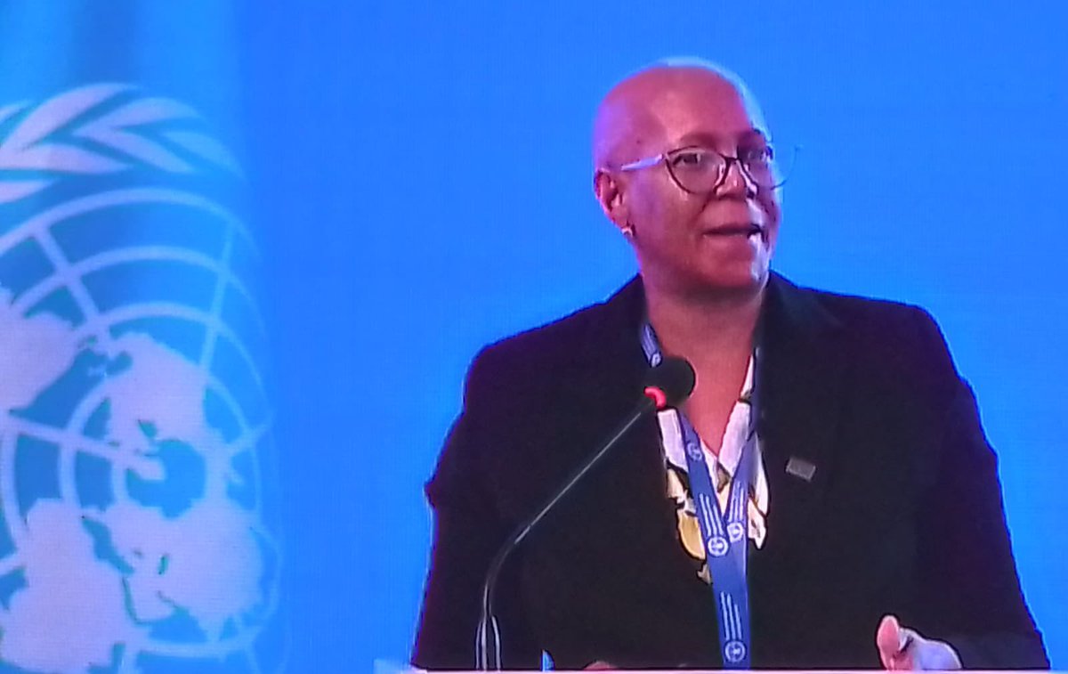 Exciting discussion today at #NERC37 

The <a href="/CFS/">CFS</a> Chairperson emphasized the need for innovative solution while dealing with #FoodSecurity &amp; #nutrition in protracted food crises.Special Drawing Rights &amp; Debt Swap for Food as financing solutions to upscale actions to defeat #hunger.