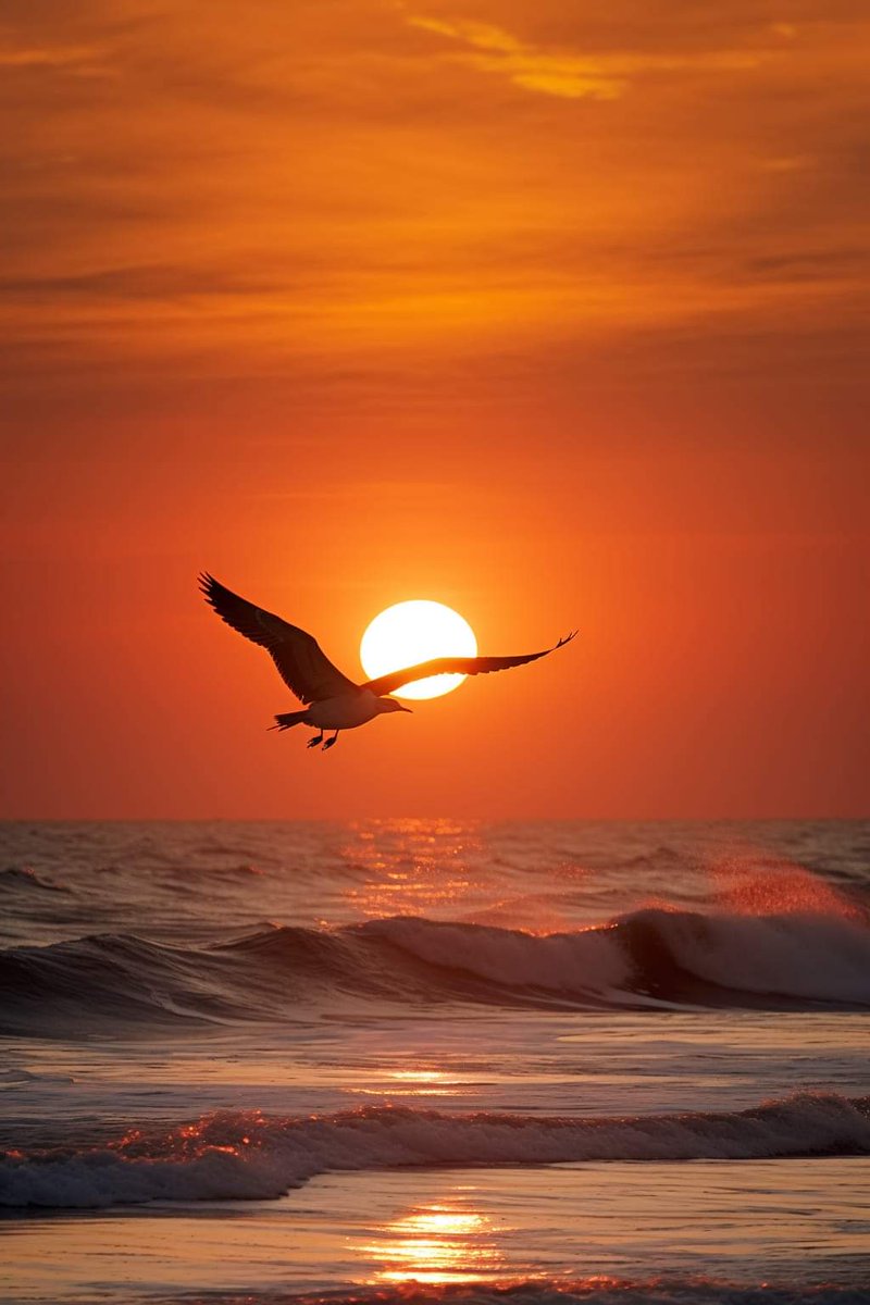 Beautiful Sunset 🧡🪽☀️