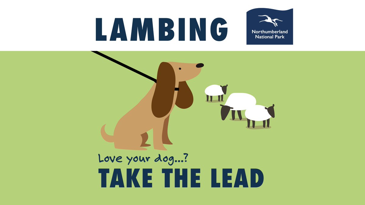 We’re asking visitors to #TakeTheLead and keep dogs on leads and under control in the National Park this Springtime. We encourage dog owners to be responsible and considerate when visiting the National Park to balance the needs of visitors, wildlife, and livestock.