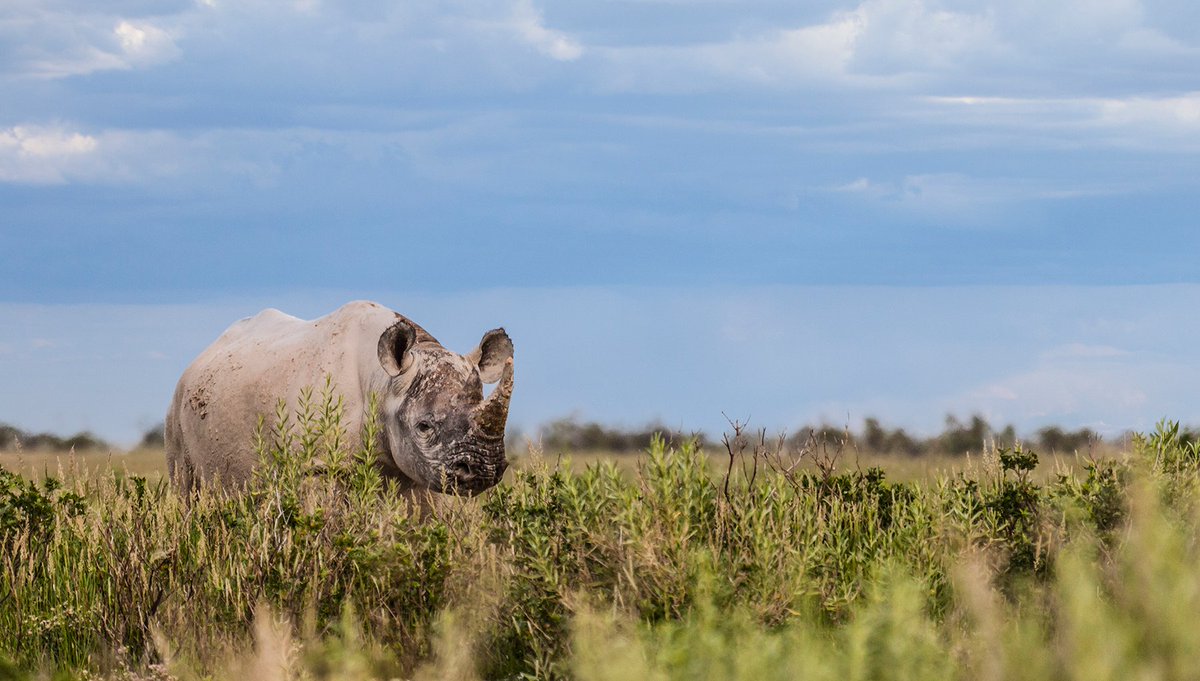 🔥From ocean acidification to record heat &amp; ecosystem threats, the latest edition of "Hot Science" highlights new climate findings. 

Check out the latest from <a href="/BezosEarthFund/">Bezos Earth Fund</a> and <a href="/WorldResources/">World Resources Institute</a> ➡️ bit.ly/49zMgUj.