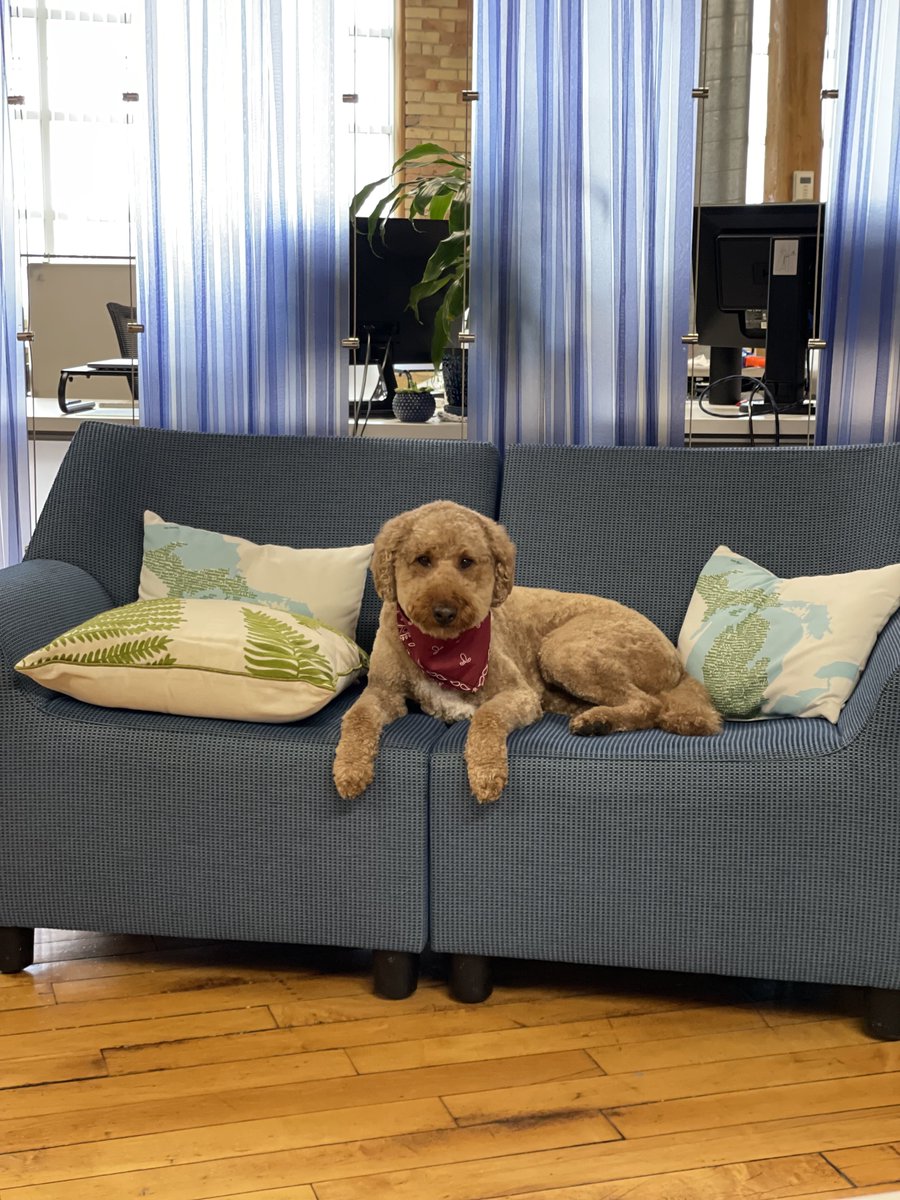 Lakeshore Advantage tweet media