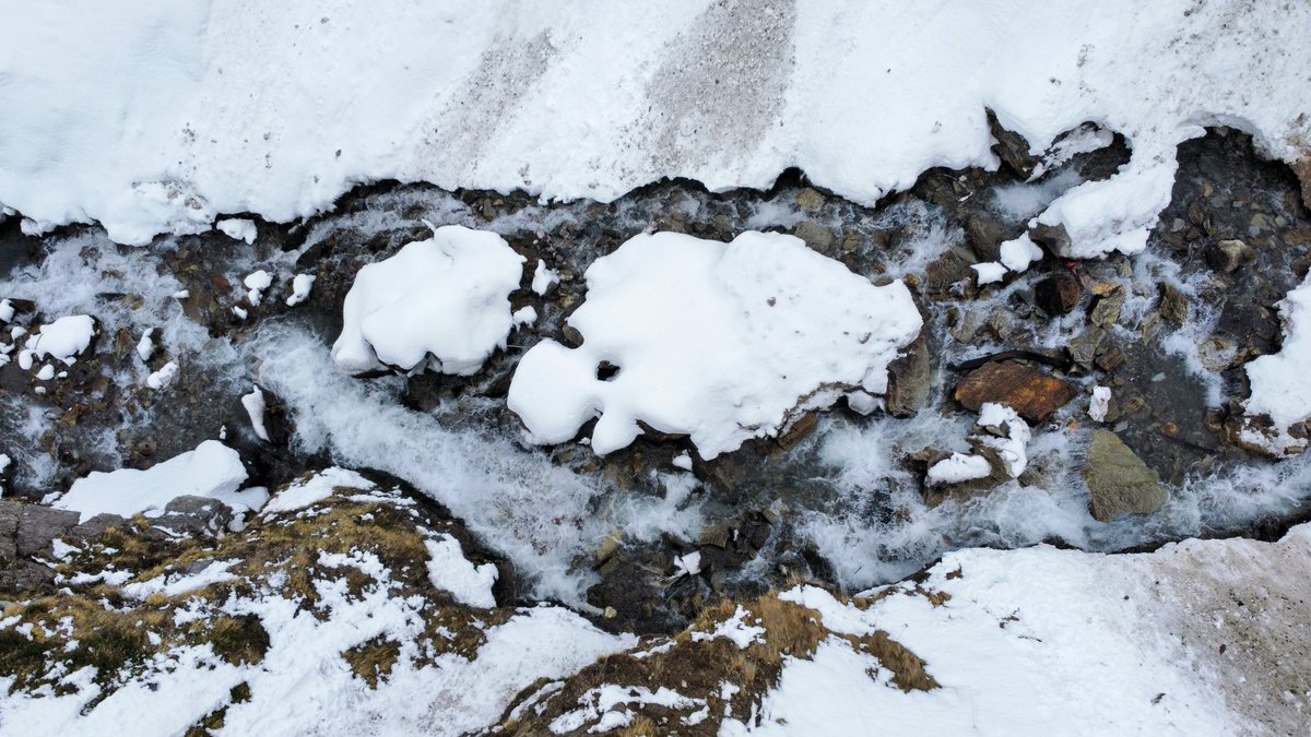 Vous le voyez le petit 🩵? 

#DJI #lamongie #Pyrénées #photooftheday #heart #coeur #River #source #montagne #tourmalet #wildlifephotography