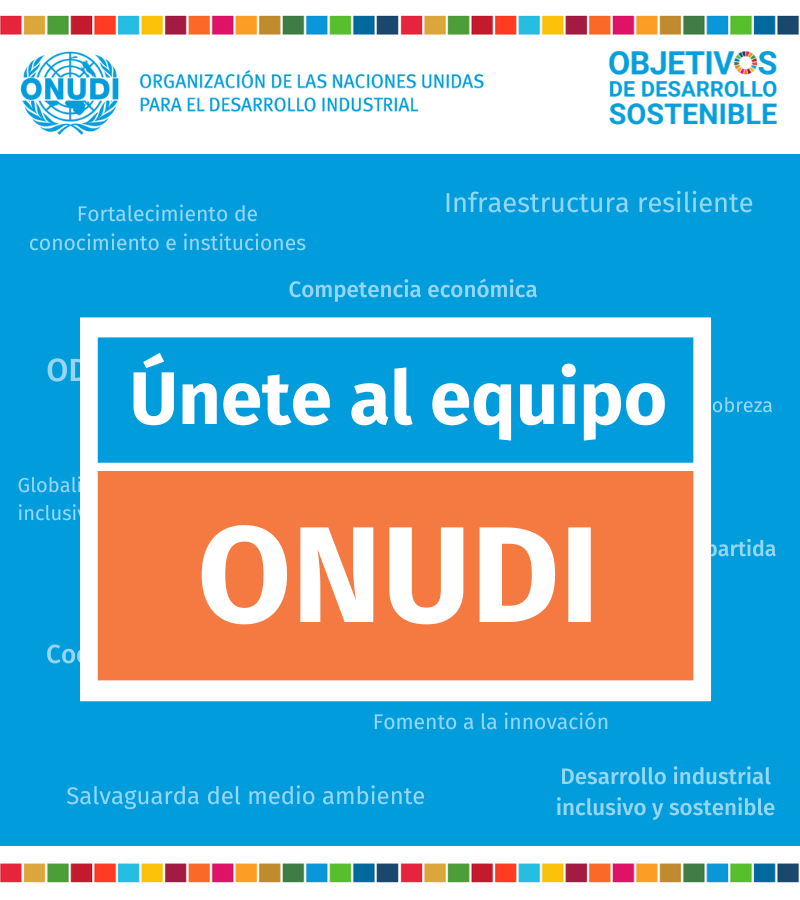 ONUDI_Mexico's tweet photo. ¿Tienes de 20-35 años y estas en tus últimos semestres de universidad, maestría o doctorado en relaciones internacionales, administración de empresas o economía? 

Forma parte del #SistemaDeNacionesUnidas México como #pasante en la Oficina Regional de #ONUDI https://t.co/GjOpe80bfv
