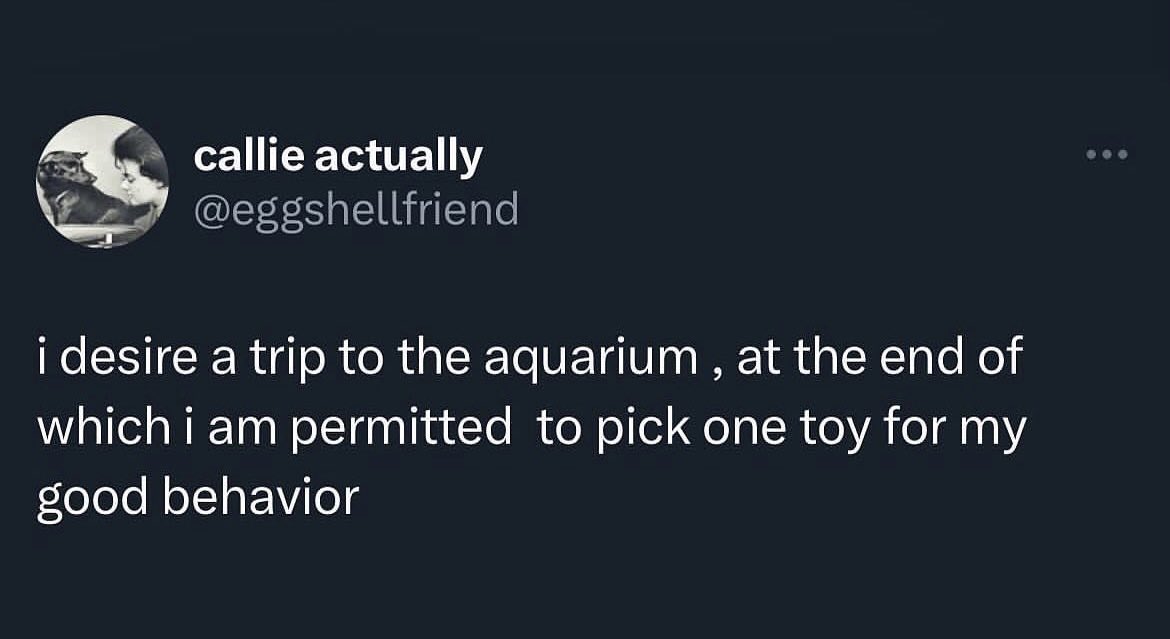 Honestly the best days out…let me get that blue dolphin or the squidgy jellyfish.
