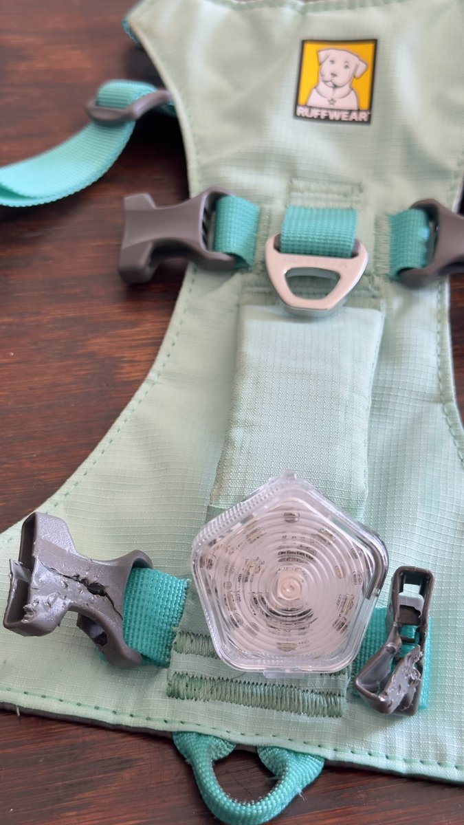 Pumice T. Mendola tweet media