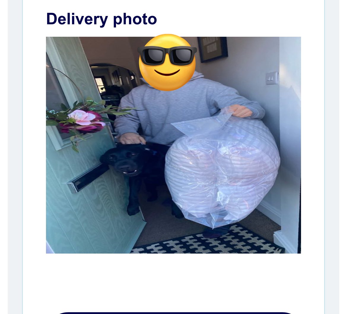 Thank you <a href="/evridelivery/">evridelivery</a> for capturing the FUNNIEST photo of my dog today!