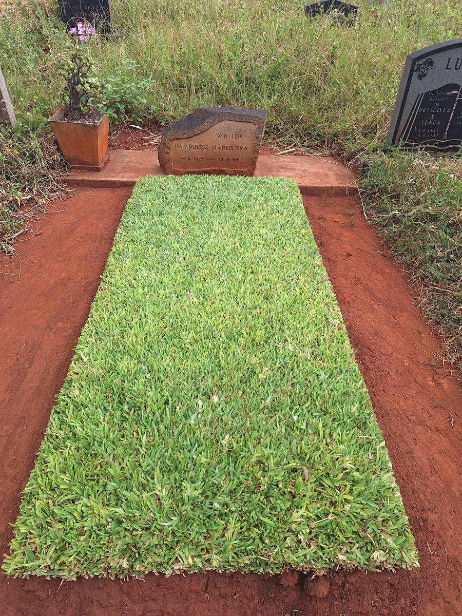 Unexpectedly came across the 1987 grave of Zimbabwean writer Dambudzo Marechero in a quiet corner of Warren Hills cemetery in Harare. A brilliant shock of bright green grass and red soil neatly squared amid the bushy sprawl. How beautiful that someone cares for him this way.