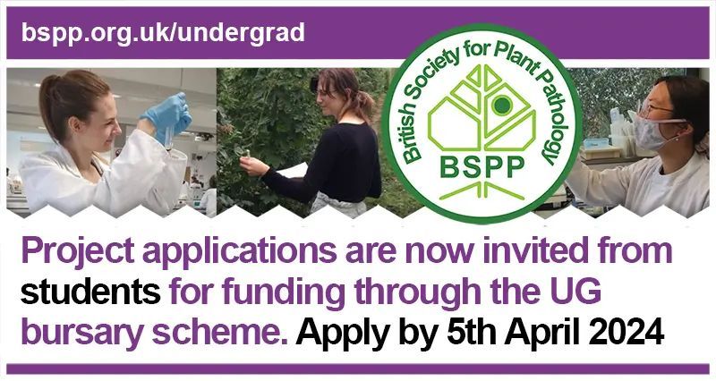 British Society for Plant Pathology (@bs_pp) on Twitter photo 🌟 Students! 🌟
Apply now for the BSPP Undergraduate Vacation Bursary! Deadline: April 5th, 2024. Interviews in late April if requested. No BSPP membership needed - successful applicants receive a year's membership! Don't miss out!
Apply: buff.ly/3v2GwDl
#PlantPathology 🌟 Students! 🌟
Apply now for the BSPP Undergraduate Vacation Bursary! Deadline: April 5th, 2024. Interviews in late April if requested. No BSPP membership needed - successful applicants receive a year's membership! Don't miss out!
Apply: buff.ly/3v2GwDl
#PlantPathology