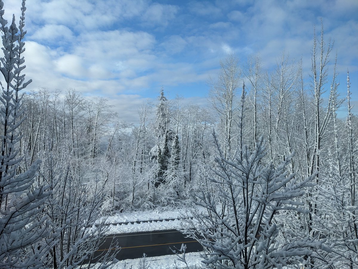 Sometimes working in a university on top of a mountain has its perks