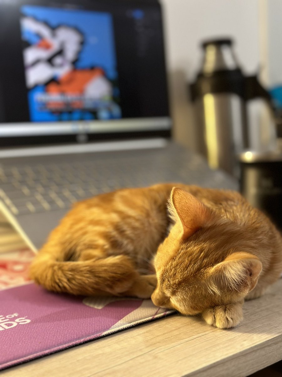 La mejores camitas para tu mishi y de paso la usas de mousepad ✨