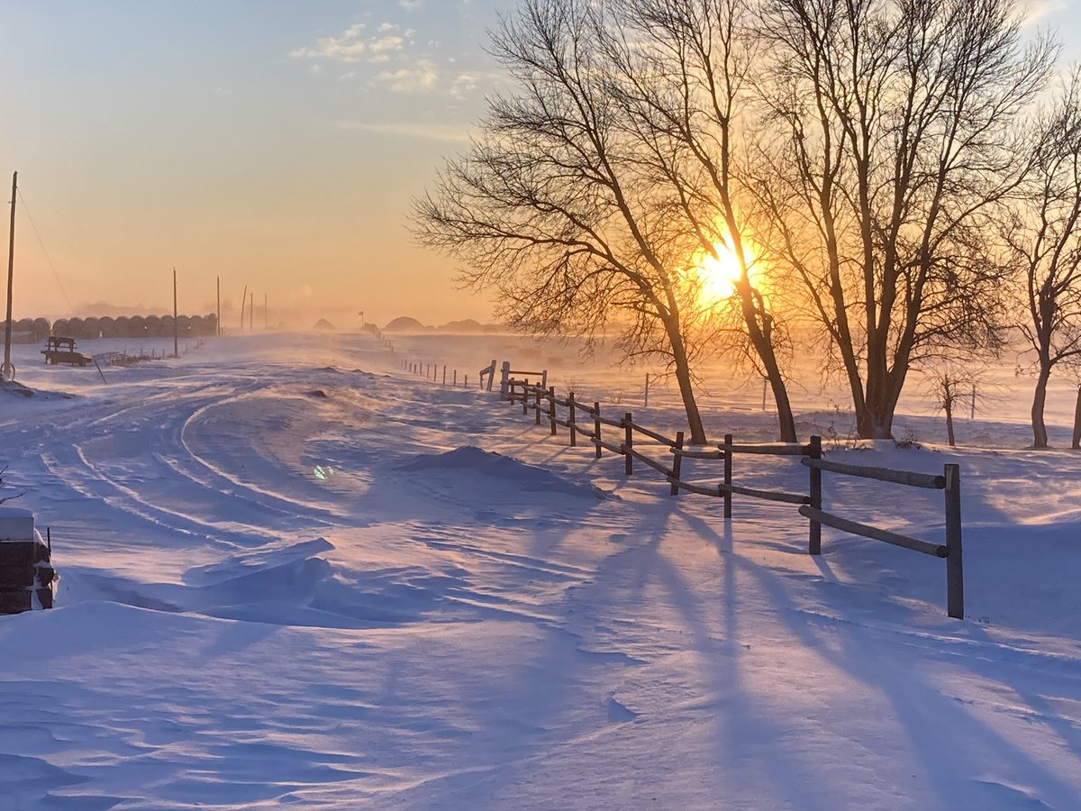Sun is shining after the storm. Good luck to all cattle producers feeding their livestock.   

Mar Mac Farms and Guests Bull Sale 1:30 pm on Wednesday March 6. Please join us in person or online at dlms.ca   
www.marmacfarms .net.