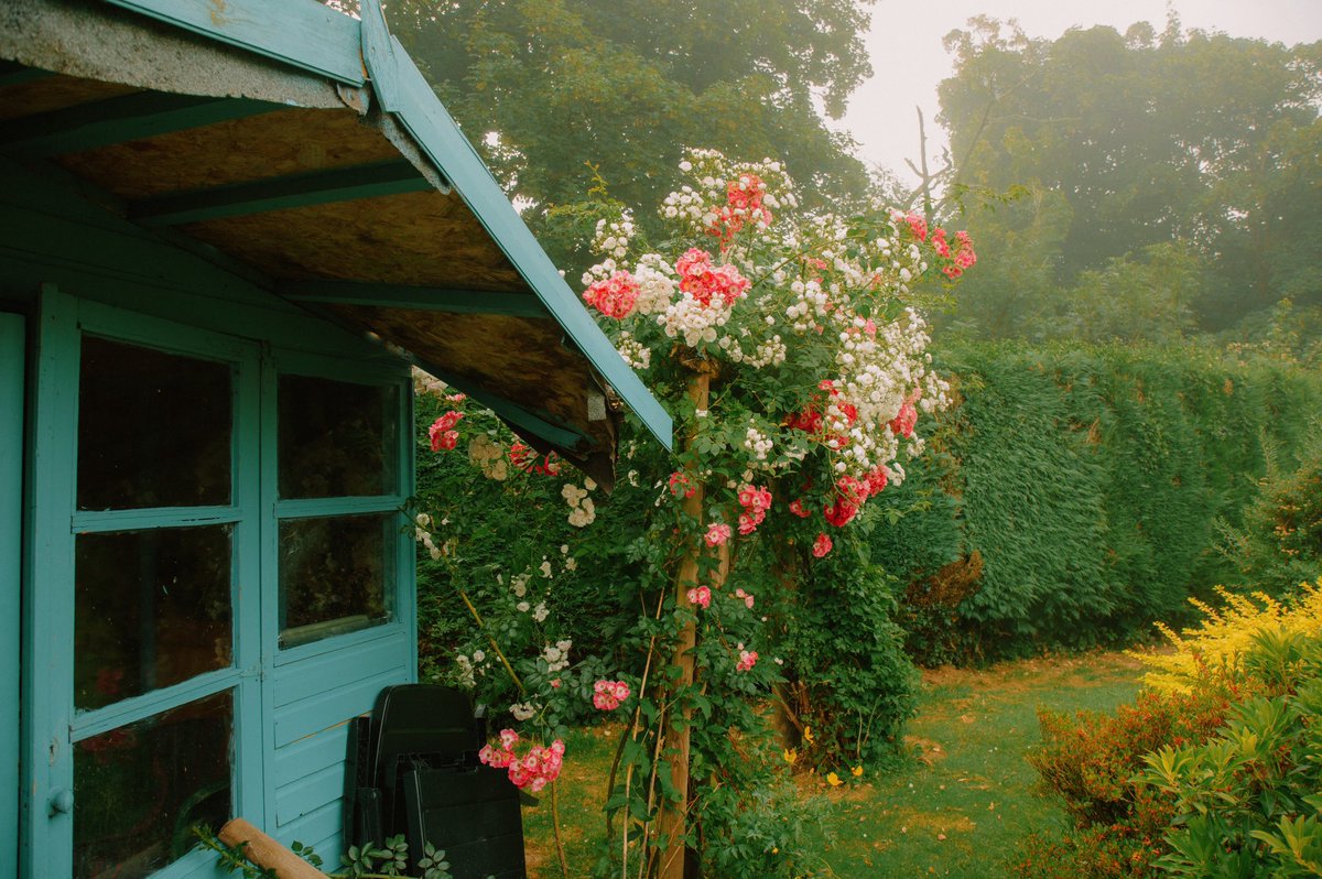 Water Garden Cottage 🍃🥀 //