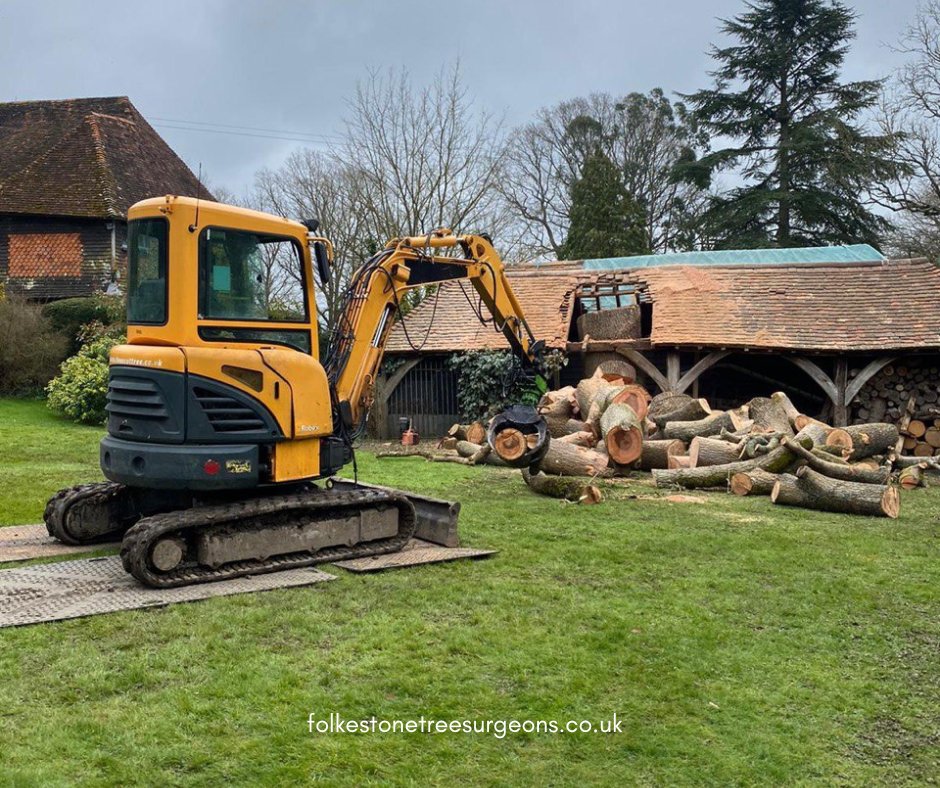 FolkestoneTree's tweet image. Branching Out to Enhance Your Landscape. Call Folkestone Tree Surgeons now to schedule a consultation.

#Treesurgeons #treesurgery #trees