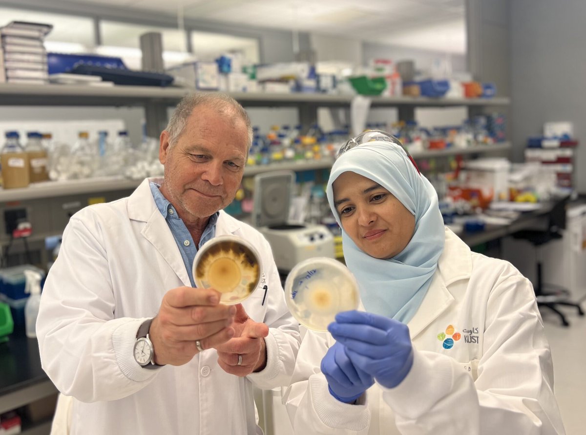 Exciting study by #CDA scientists! Research on fonio millet's seed #microbiome shows promise in enhancing crop #resilience to climate stress. Read more: discovery.kaust.edu.sa/en/article/240… #ClimateCrisis @KaustResearch @KAUST_News