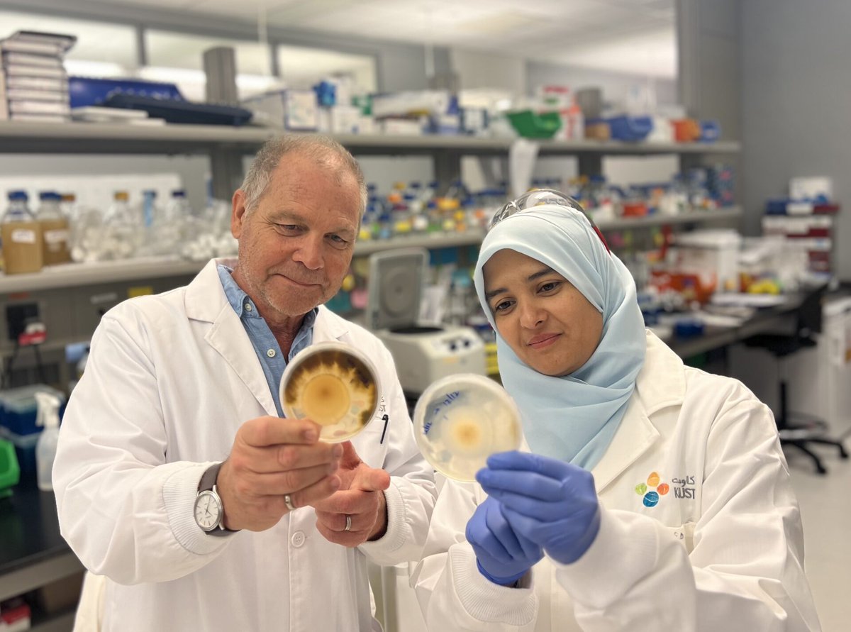 Exciting study by #CDA scientists! Research on fonio millet's seed #microbiome shows promise in enhancing crop #resilience to climate stress. Read more: discovery.kaust.edu.sa/en/article/240…
#ClimateCrisis <a href="/KaustResearch/">KAUST Research</a> <a href="/KAUST_News/">KAUST</a>