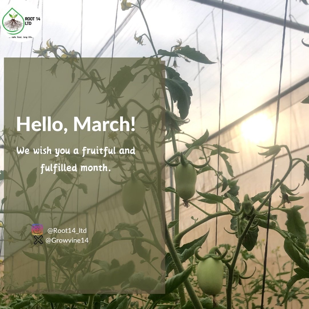 Happy New Month!

Welcome to March.
We wish you a very fruitful and fulfilled month in every aspect.

Love, Root 14.

#hydroponicsinnigeria 
#soillessfarming 
#soilless 
#root14ltd 
#tomatoes 
#vegetablefarming
#hydroponics