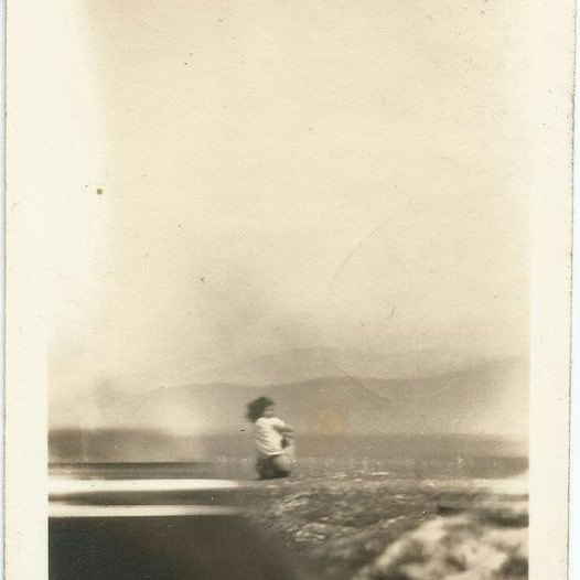 "Hay gente cuya objetividad es generosa porque es transparente, todo se puede leer, tomar, entender en ellas: gente que porta su propio sol para iluminarse". "Gringo viejo", Carlos Fuentes