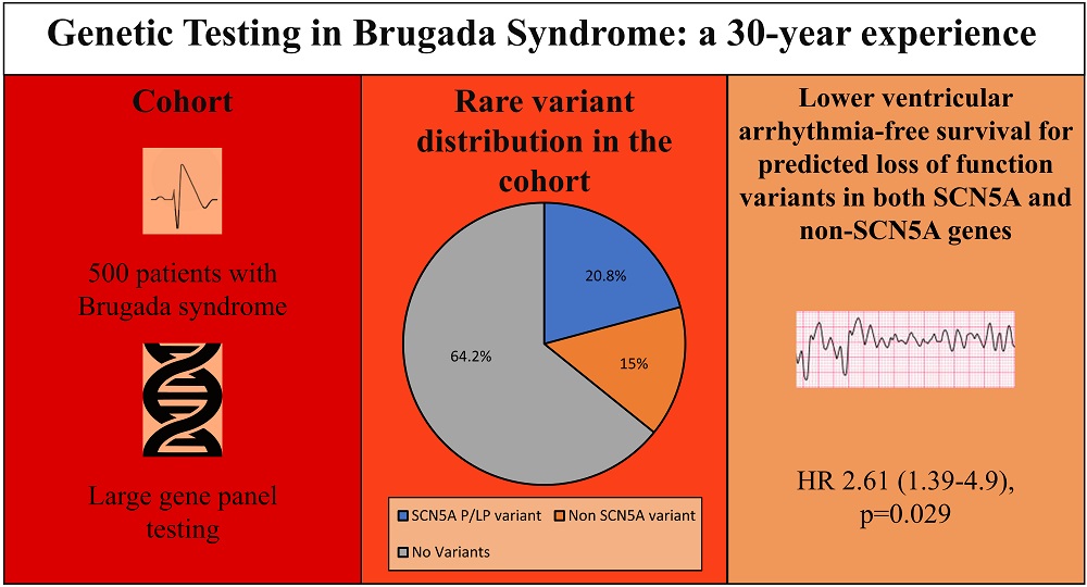 A predicted loss of function variant in both SCN5A and non SCN5A genes is associated with worse arrhythmic prognosis in Brugada syndrome 
#AHAJournals #Epeeps <a href="/dogi84md/">Domenico Giovanni Della Rocca, MD</a> <a href="/AntBisignani_MD/">Antonio Bisignani</a> <a href="/AlviseDelMonte/">Alvise Del Monte</a> <a href="/GiampaoloVetta/">GiampaoloVetta</a> @deasnostos 
doi.org/10.1161/CIRCEP…
