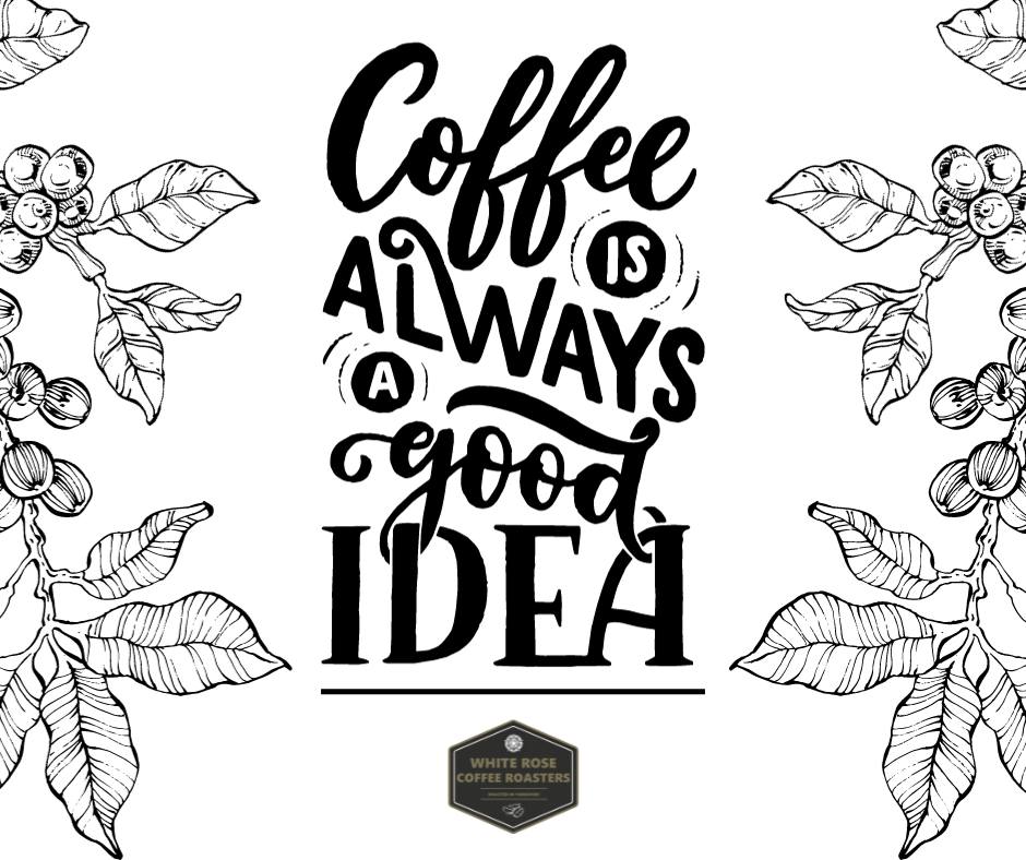 🙌☕️ Hands up if you think coffee's always a good idea! 💡

📲 Discover our award-winning coffees: whiterosecoffeeroasters.co.uk

#coffee #coffeetime #coffeeholic #coffeelovers #coffeeaddict #coffeelover #coffeeroast #coffeeroasting #coffeeroasters #coffeeroastingmachine #halifax