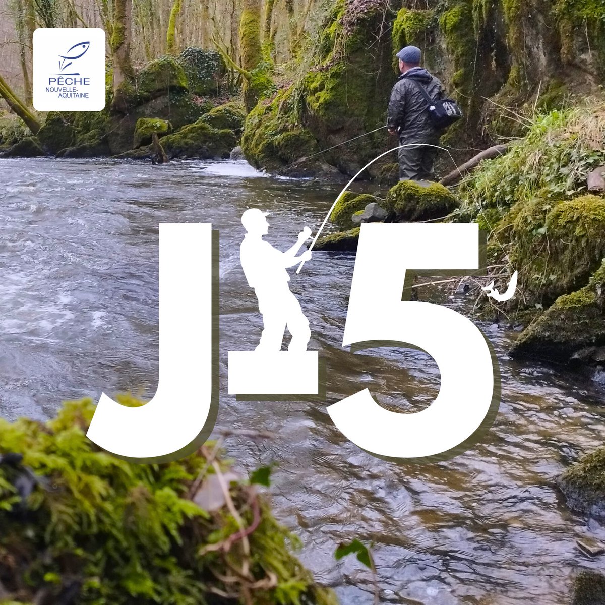 🎣J-5 avant l'ouverture de la pêche à la truite en 1ère catégorie en Nouvelle-Aquitaine ! 🎉

Préparez vos cannes à pêche et rejoignez-nous le samedi 9 mars pour célébrer le début de la saison de pêche.

Partagez vos photos avec le hashtag #jepechejeprotege