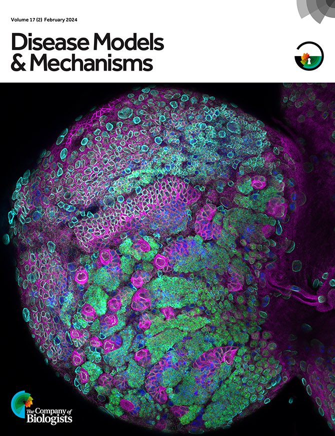 nicholeLlink's tweet image. Our cover is out! Thanks @DMM_Journal !