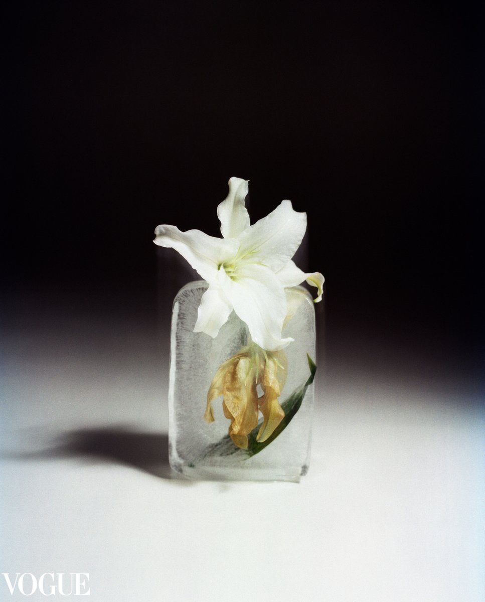 𝑩𝑳𝑶𝑶𝑴 𝑨𝑮𝑨𝑰𝑵